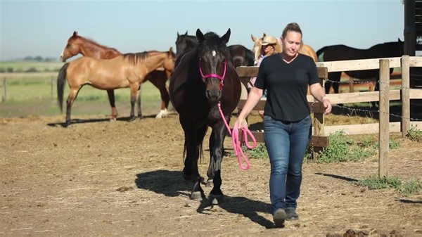 248 reactions · 19 shares | ⚡️ Living your passion working with...