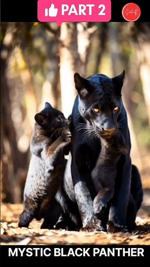 Black Panther | Life of the Jungle’s Shadow 🐈‍⬛ | Part 2 | SentriR