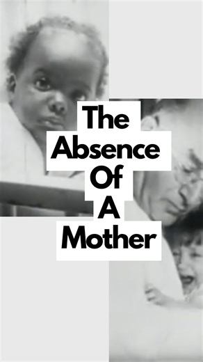 Violeta Gordeljevic |🔬MSc| Science for Parents| Educator on Instagram: "In 1947, René Spitz and Katherine Wolf released the film “Grief: A Peril in Infancy”, documenting what happens to babies when they suddenly lose the one person they depend on most. The images were devastating — babies becoming silent, withdrawn, and hopeless after prolonged separation. 🧠Today, after decades of research, we know much more. We understand what babies really need to feel safe, thrive emotionally,
