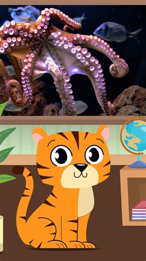 Fun Facts About Octopus #funfacts #factsforkids #kidslearning #kidsvideo