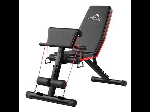 Dolphy Adjustable Weight Exercise sit up Bench, Foldable Flat/Incline/Decline DGSUPB0004