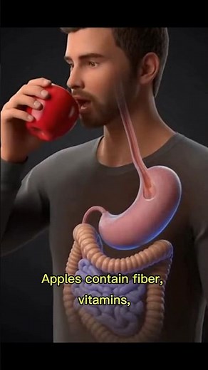 Does Eating an Apple Every Day Really Keep the Doctor Away? 🍎 | The Science Explained#shorts