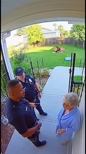 675K views · 2.7K reactions | Grandma Says “It’s Just My Cat” 女 |...