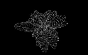 声音可视化 | Touch Designer