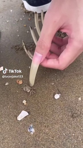 kukupanjang#long nails man#guy with long nails