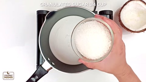 How To Make Cream of Coconut (Coco Lopez Cream of Coconut Alternative)