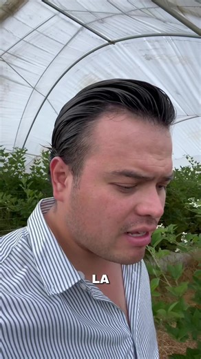 Berries and Agriculture: A Deep Dive into Agroecology