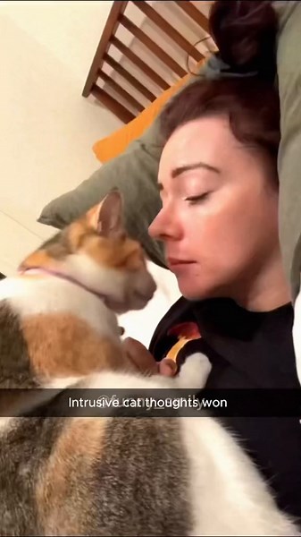 Funny cats with their owner…😂 Funny cats videos #cat #funnyanimals #funnypets #usa #fyp