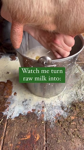 13K views · 126 reactions | Store milk for 30 years! The power of...