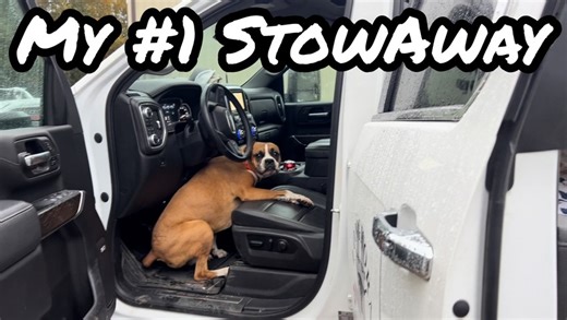 54K views · 7.9K reactions | More interesting discoveries at J❤️L Ranch | Longhorn Lester's | Facebook