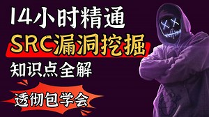 【全23集】14小时精通SRC漏洞挖掘实战教程，全程干货无废话，手把手教你快速入门src漏洞挖掘