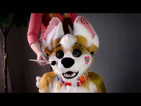 ASMR On A Fursuit w/ @scoutcorgi - Brushing, Petting, Scratching