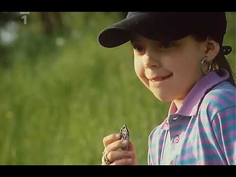 Where Stars Fall (1996) e05