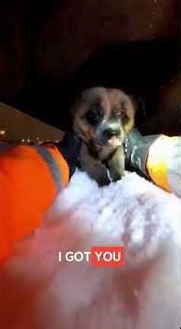 Winter Rescuer Rescues Puppy Trapped Under A Snowbound Car ! #SnowRescue #AIAnimalRescue