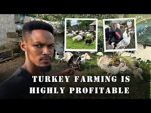 Turkey Farming Is The Best Thing To Ever Happen To Me