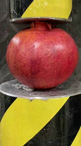 3.6K views · 46 reactions | Justreal on Reels | Facebook