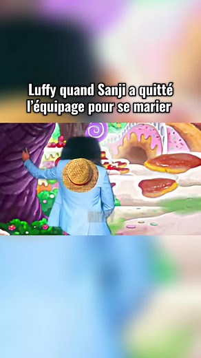 Luffy et Sanji: Une séparation inattendue