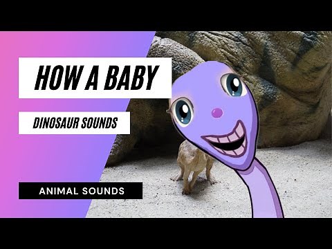 How A Baby Dinosaur Sounds - baby dinosaur noises - baby dinosaur sound effect