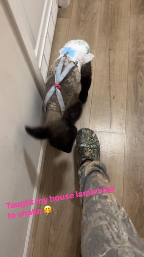 A Triple C Farm Party LLC on Reels