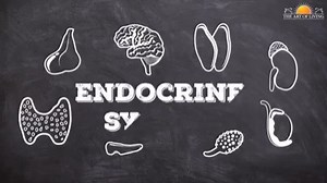 Importance of Breathing & Meditation !!! #beautiful #chualanh #gratitude #memes #mentalhealthawareness #mindset #mushrooms #namaste #peace #photooftheday #psychedelic #psychedelicart #reiki #spiritualawakening #vintage #visionaryart #artist #arttmodernmiaminews #astrology #balance #clothing #consciousness #fungi #healthylifestyle #illustration #instagram #intuition #lawofattraction #lightworker #loveyourself • | Nirvana Healing Centre | Facebook