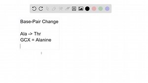 SOLVED:A small portion of the human transport protein amino acid sequence is shown below. The upper sequence is associated with darker skin, and the lower sequence is associated with lighter skin. What DNA base-pair change created the light-skin form of the human protein from the gene that coded for the dark-skin form?
