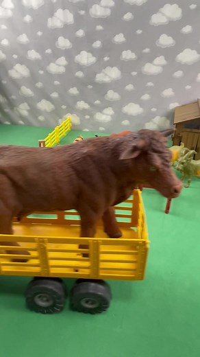 Transporting Cow, Bull, and Goat on Tractor and Trailer