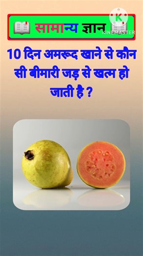 Top 50 ✍️ IAS Question🔥💯🥰 || GK Question and Answer|Part-332| #facts #gkfacts #gkinhindi #staticgk