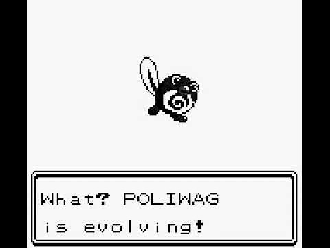 Shiny Poliwag double evolution into Poliwhirl then Poliwrath!! - Pokémon Crystal