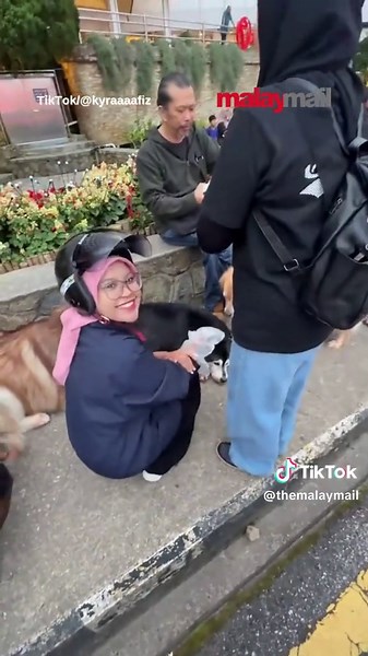 Too cute to resist! 🐶💛 This woman wanted to pet the dogs so badly, and the kind owner even handed her a plastic bag to make it possible — such a sweet moment!