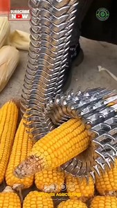 171K views · 667 reactions | Ever wondered how to effortlessly peel...