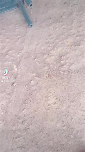 Air BnB | Der MadKing