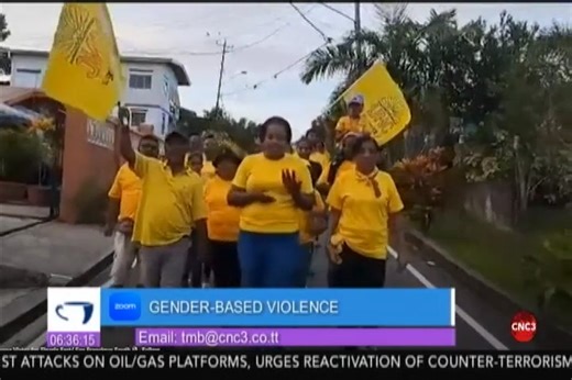 CADV: Domestic Violence Preventable Former CADV President Roberta Clarke is urging authorities to review cases of domestic violence to prevent suicides and killings in relationships. Speaking on The Morning Brew, Clarke said domestic violence is preventable and called for evidence-based policies. She also noted that both boys and girls engage in violence because it has become normalized, not because of biology. | CNC3 Television, Trinidad and Tobago