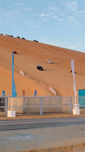 #trending Liwa Festival In Abu Dhabi 🇦🇪🇦🇪🇦🇪