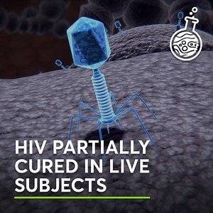 906K views · 4.1K reactions | CRISPR Deactivates HIV-1 | Neoscope | Facebook