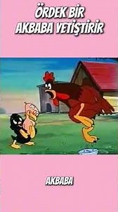 KÜÇÜK KARA ÖRDEK #ilginç #cartoon