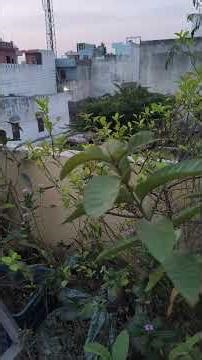 Different morning 19Aprial2026