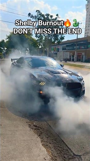 Shelby Burnout got WILD.Wait for it 😳🔥🐍#shelby #burnout #shorts