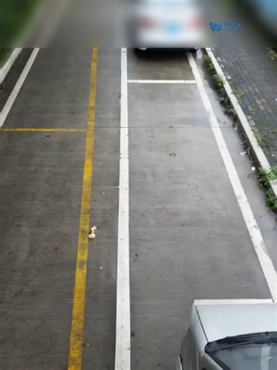 በጠባብ ቦታ ላይ መኪናን ወደ ኋላ አሽከርክሮ (Parallel Parking) ያለምንም ልፋትና መመላለስ በአንድ ጊዜ በትክክል ማቆም የሚቻለው እንዴት ነው? ድርጅታችን ዋልታ ቴክኖሎጂስ 👉ለቤት ወይም አውቶሞቢል መኪኖች የመኪና ስርቆት መከላከያ እንዲሁም መቆጣጠሪያ ጂፒኤሶች ፣ 👉ለከባድ ወይም ጭነት መኪኖች ደግሞ የመኪና ጂፒኤስ ከናፍጣ መቆጣጠሪያ ጋር የሚያስመጣ እና በራሱ ቴክኒሺያኖች የሚገጥም ድርጅት ነው። 🏆የድርጅታችን አገልግሎት በአዳማ ፣ በሀዋሳ ፣ በድሬዳዋ እና በመቀሌ ማግኝት ይችላሉ። - እርሶም ለመኪናዎ ነገ ዛሬ ሳይሉ ወደ ድርጀሰታችን ስልኮች አሁኑኑ ደውለው ያስገጥሙ። ☎️ 09 44 88 33 44 🙏ስልኮቻችንን በተደጋጋሚ ተይዞዋል ካሎት እባኮን ደግመው ይደውሉ። - አዲስ አበባ - አዳማ - መቀሌ - ሀዋሳ - ድሬዳዋ - ጅማ - ባህር ዳር 📲 09 44 88 33 44