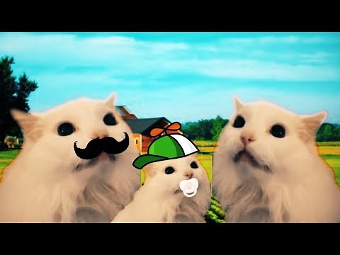 Sad story of a cat | Piggy ROBLOX - Bunny Tribute - Cat Cover