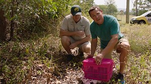 17 reactions | Embark on an epic ocean journey around the world as Jeff Corwin explores some of his favorite destinations from Season One! Now on Litton's Weekend Adventure. | Ocean Treks with Jeff Corwin | Facebook