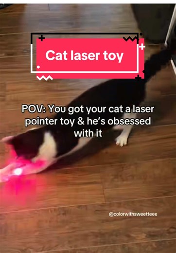 Cat Laser Toy: Perfect for Playtime Fun
