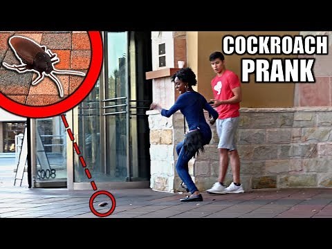 GIANT COCKROACH IN PUBLIC PRANK!