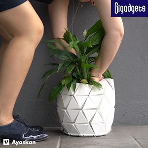 15M views · 131K reactions | This flower pot adjusts its size to growing plants. GROWTH is an origami-inspired flower pot concept created by designers and twin sisters from London-based Studio Ayaskan. It wants to save plant growers the hassle of repotting and avoid the messy or even life-threatening process. GROWTH is currently unavailable on the market. | GIGadgets | Facebook