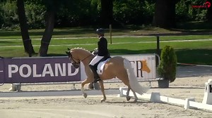 ❤️ What a pony, what a rider, what a beautifully ridden test ❤️ 😲 Rose Oatley and Daddy Moon post world record-breaking team score of 82.629% at the FEI European Championships in Strezgom 😍 Congratulations, what an achievement!! 💐🥇🇩🇪 Daddy Moon is a 11-year old Rhinelander Gelding by FS Daddy Cool out of a Capri Moon mother 👏 ▶️ Tune in here to follow the FEI European Pony Championships: tv.fei.org/Ponies/EuropeanChampionships2021 ▶️ And if you want to see the up and coming German ponies 