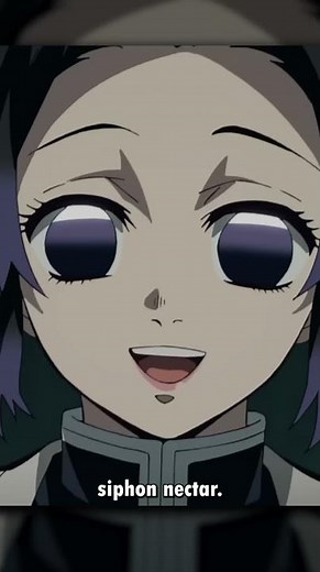 Shinobu Kocho has the PERFECT Character Design