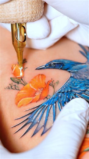 11K views · 25K reactions | California in color ☀️ A scrub jay and golden poppies, born from the same sun, forever in bloom. Full portfolio is on IG: @enni.tattoo  • San Diego Oct 8 - Nov 20 • Seattle Dec 6 - 28 Booking: ennitattooing@gmail.com | Enni.tattoo | Facebook