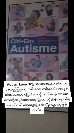 Understanding Autism Level 1 in Children