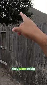 Guess The Pool Cost! Is It CHEAP or EXPENSIVE? #shorts