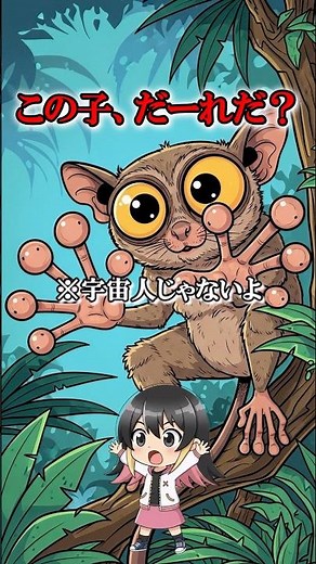 脳より目がデカい!?宇宙人みたいな「メガネザル」の秘密 #メガネザル #猿 #動物 #ゆっくり解説 #こんちゅー部