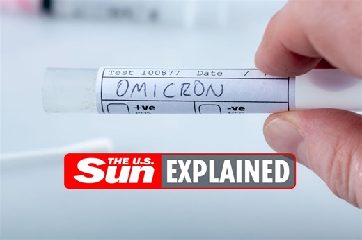 What is the Omicron variant?